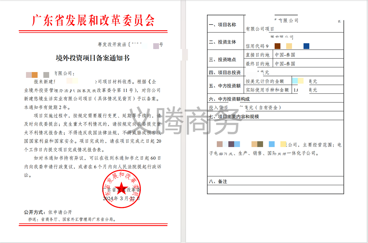 电子电器领域：ODI境外投资备案案例分享